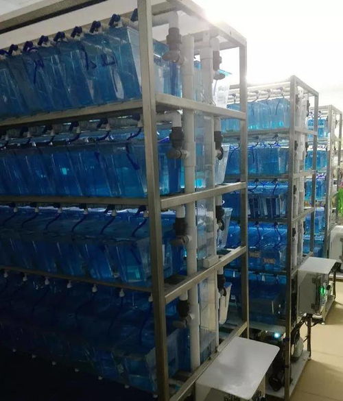 化妝品工廠又多了一個(gè) 硬通貨